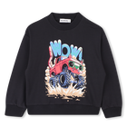 Sweat en molleton BILLIEBLUSH 
                    GARCON