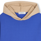 Sweat &agrave; capuche BILLIEBLUSH 
                    GARCON