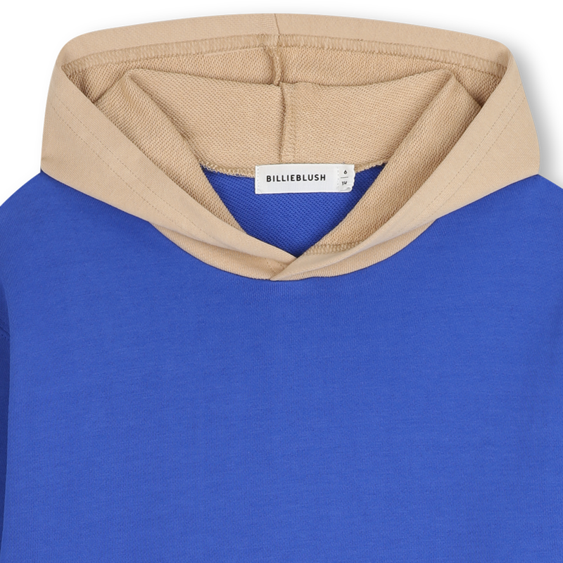 Sweat &agrave; capuche BILLIEBLUSH 
                        GARCON