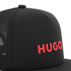 Pet HUGO 
                    JONGEN