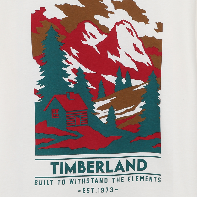 T-shirt met lange mouwen TIMBERLAND 
                        BOY