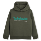 Hoodie, WATERGROEN, hi-res