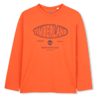 Tee-shirt manches longues en jersey, TIGERLILY, hi-res