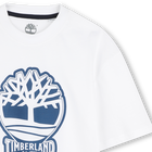Tweekleurig T-shirt met logo TIMBERLAND 
                    BOY