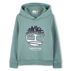 SWEAT A CAPUCHE, VERT SAPIN, hi-res