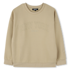 Sweat-shirt coton molletonn&eacute; DKNY 
                    UNISEXE