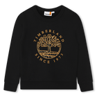 Sweat-shirt en molleton gratt&eacute; TIMBERLAND 
                    GARCON