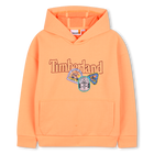 Sweat &agrave; capuche TIMBERLAND 
                    GARCON