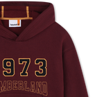 Sweat-shirt &agrave; poche kangourou TIMBERLAND 
                    GARCON