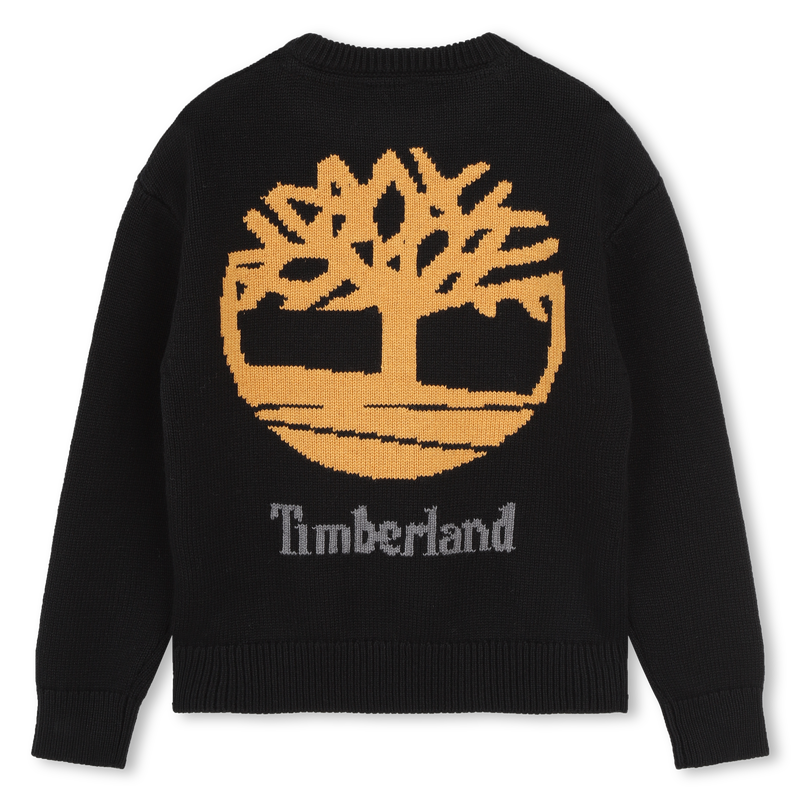 Pull fantaisie TIMBERLAND 
                        GARCON