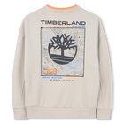 Sweat en molleton TIMBERLAND 
                    GARCON