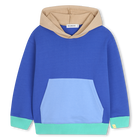 Sweat &agrave; capuche BILLIEBLUSH 
                    GARCON