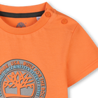 T-shirt met korte mouwen TIMBERLAND 
                    BOY