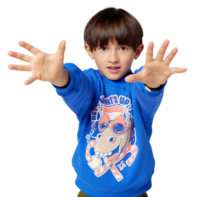 Sweat de No&euml;l BILLIEBLUSH GARCON