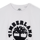 Tee-shirt &agrave; manches courtes TIMBERLAND 
                    GARCON