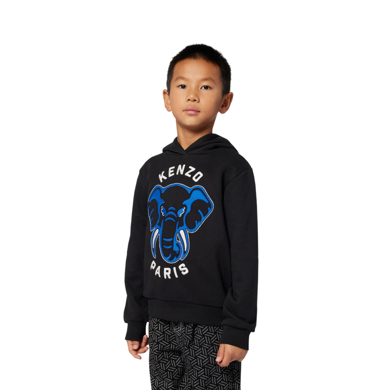 Hoodie KENZO KIDS 
                        BOY