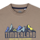 Tee-shirt manches longues en jersey TIMBERLAND 
                    GARCON