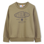 Sweat-shirt en molleton gratt&eacute;, CEDRE, hi-res