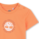 Tee-shirt manches courtes TIMBERLAND 
                    GARCON