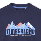 Tee-shirt manches longues en jersey TIMBERLAND 
                    GARCON