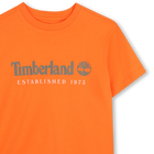 Tee-shirt manches courtes TIMBERLAND 
                    GARCON