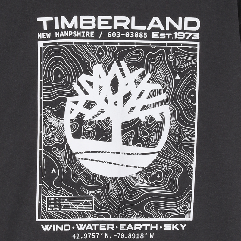 Tee-shirt manches courtes TIMBERLAND 
                        GARCON