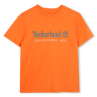 T-shirt met korte mouwen, VUURWERK, hi-res