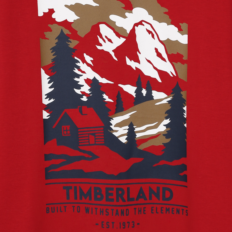 T-shirt met lange mouwen TIMBERLAND 
                        BOY