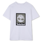 Tee-shirt manches courtes TIMBERLAND 
                    GARCON