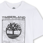 Tee-shirt manches courtes TIMBERLAND 
                    GARCON