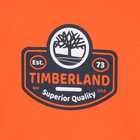 Tee-shirt &agrave; manches longues TIMBERLAND 
                    GARCON