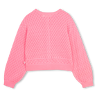 Opengewerkt gebreid vest BILLIEBLUSH 
                    GIRL
