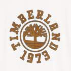 Tee-shirt manches longues TIMBERLAND 
                    GARCON