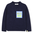 Pull en tricot BILLIEBLUSH 
                    GARCON