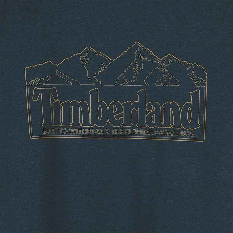 Tee-shirt manches longues TIMBERLAND 
                        GARCON