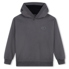Sweat-shirt &agrave; capuche, ACIER, hi-res