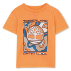 Tee-shirt manches courtes TIMBERLAND 
                    GARCON