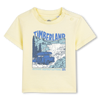 T-shirt met korte mouwen TIMBERLAND 
                    BOY