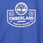 Sweat-shirt en molleton gratt&eacute; TIMBERLAND 
                    GARCON