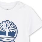 T-shirt &agrave; manches courtes TIMBERLAND 
                    GARCON