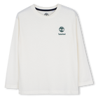 Lot de tee-shirts TIMBERLAND 
                    GARCON