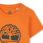 T-shirt met korte mouwen TIMBERLAND 
                    BOY